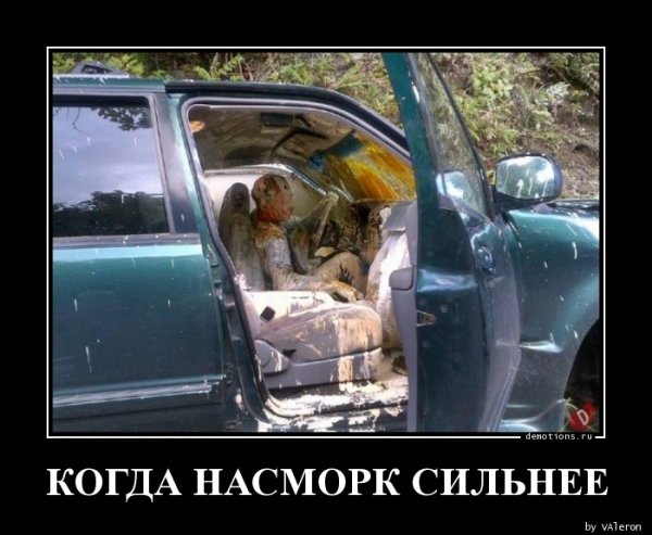 Насморк прикол