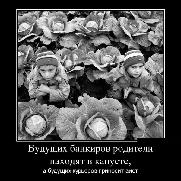 Капуста демотиватор