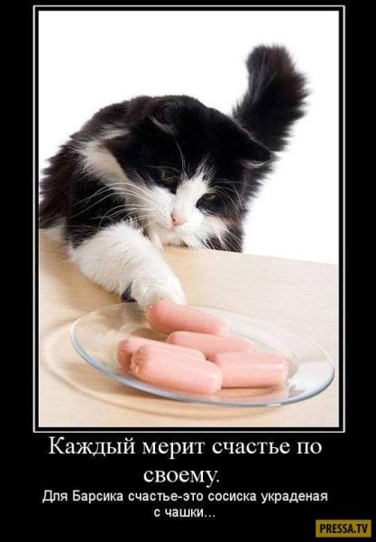 Демотиваторы про счастье смешные