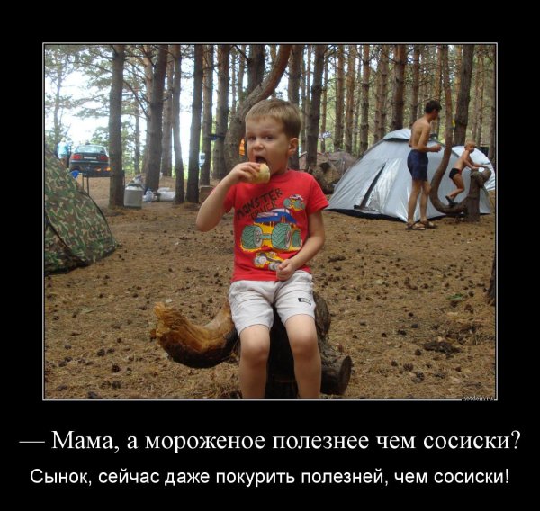 Анекдоты про кошек и собак