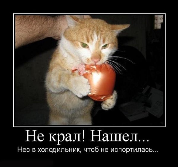 Залупа с потребительской корзиной