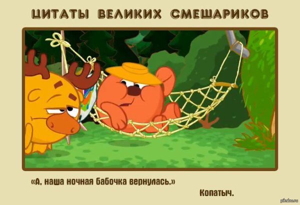 Цитаты из смешариков