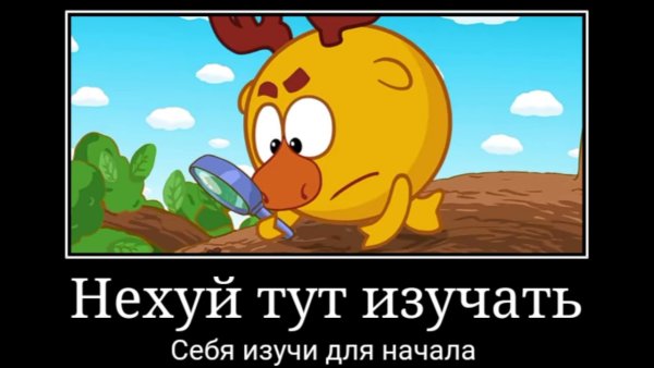 Мемы про смешариков