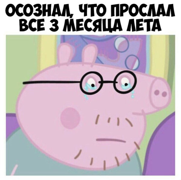 Смешные имена смешариков