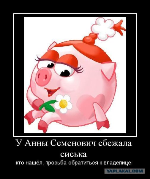 Смешарики приколы