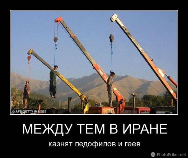 Иранские национал-социалисты