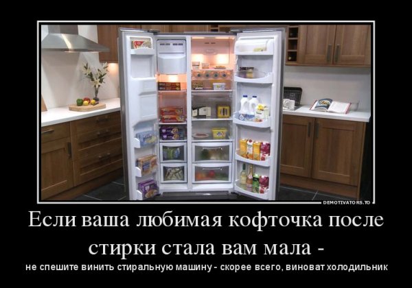 Холодильник прикол