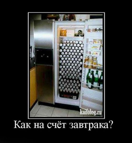 Холодильник демотиватор