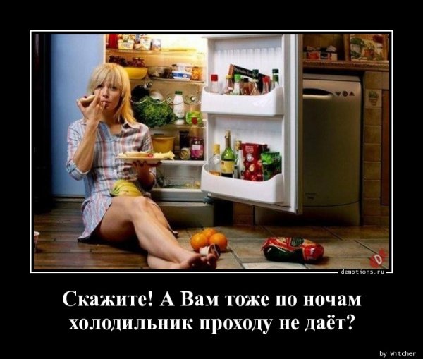 Холодильник ночью прикол