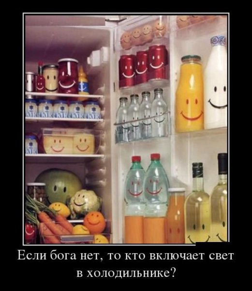 Холодильник демотиватор