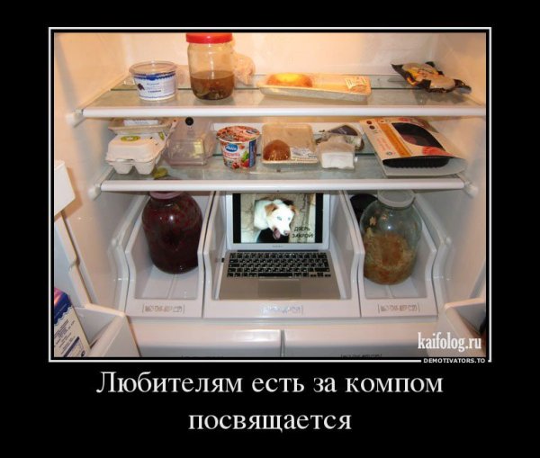 Холодильник юмор