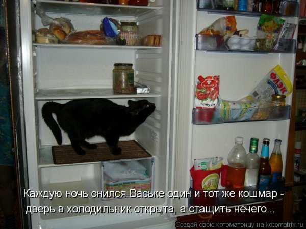 Полный холодильник юмор