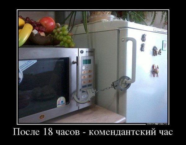 Холодильник сильной и независимой