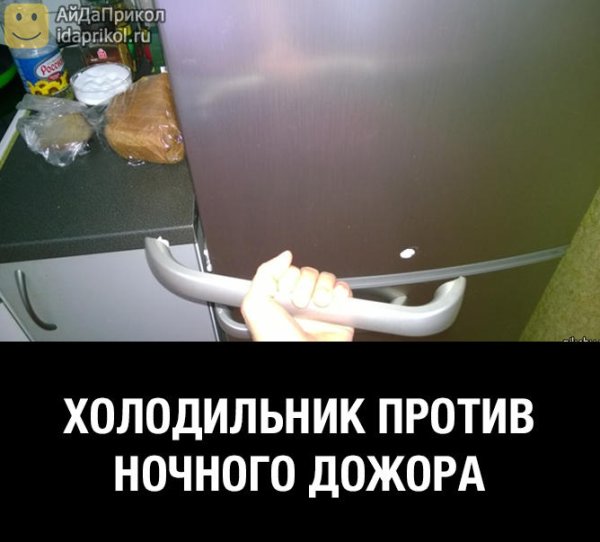 Коты в холодильнике