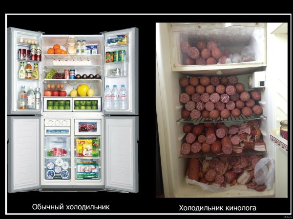 Холодильник прикол
