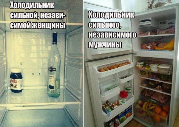 Холодильник сильного и независимого мужчины