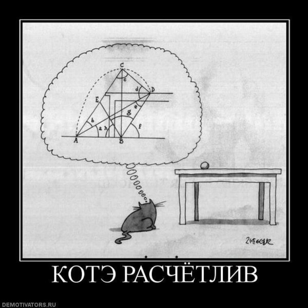 Математика демотиватор
