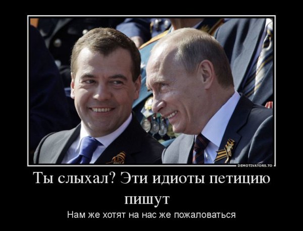 Собака похожая на Путина