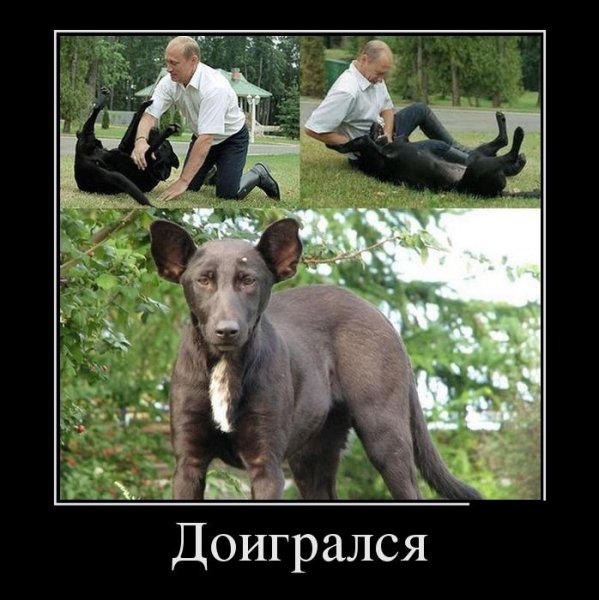 Демотиваторы про Путина