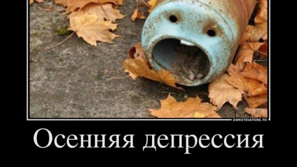 Демотиваторы про осень смешные