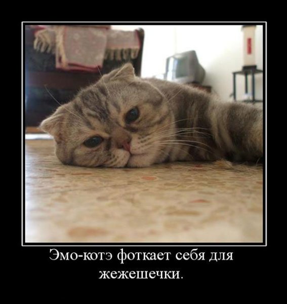 Осенняя депрессия приколы