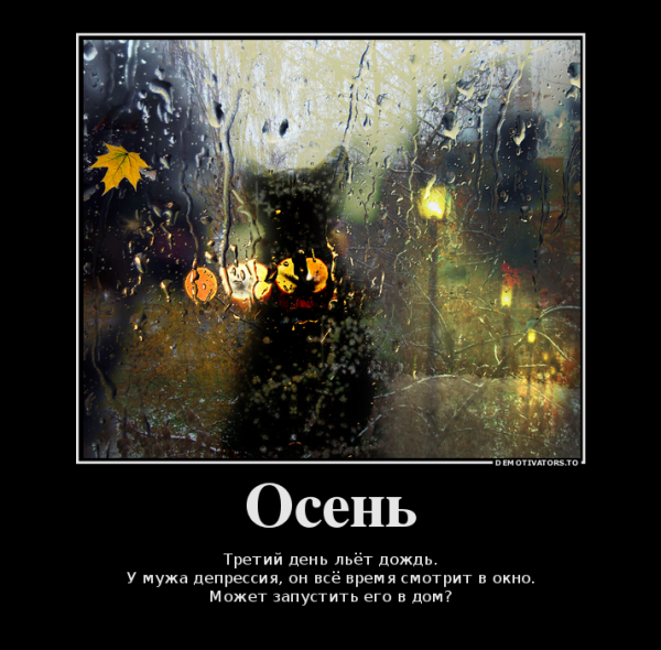 Осеннее обострение прикол
