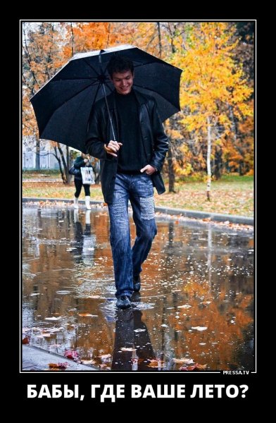 Приколы дождливой осени