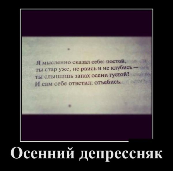 Осенние демотиваторы смешные