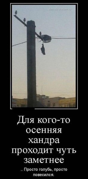 Осенняя депрессия демотиватор