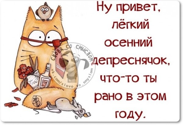 Цитаты про осень смешные