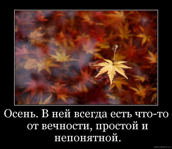 Осенние мотиваторы