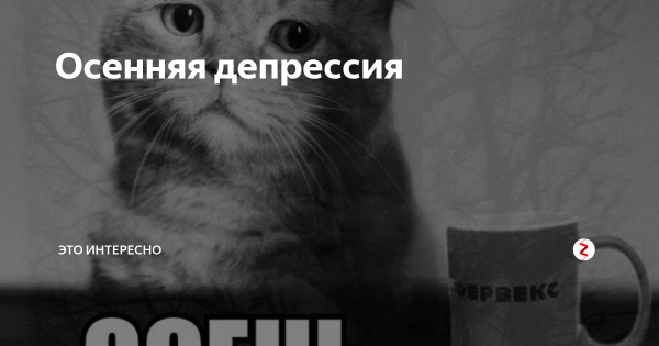 Мемы про осеннюю депрессию