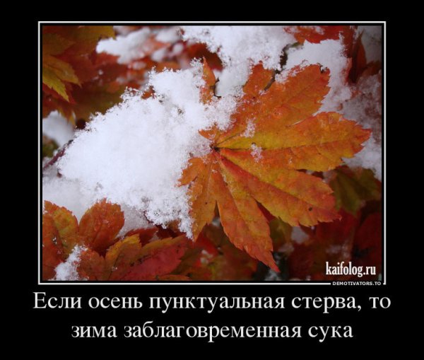 Приколы про осень