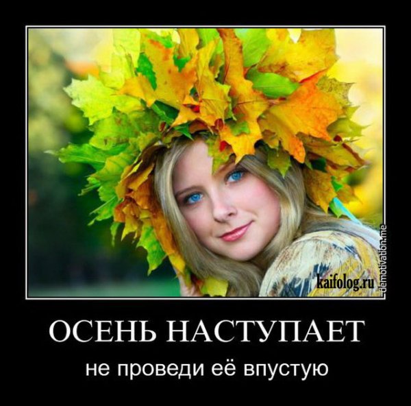 Демотиваторы про женщин и красоту