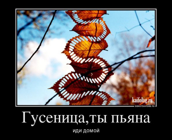 Осенние демотиваторы смешные