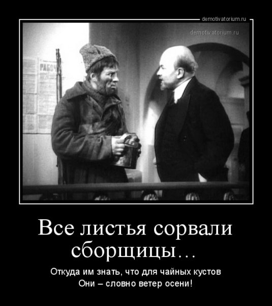 Осенняя депрессия демотиватор