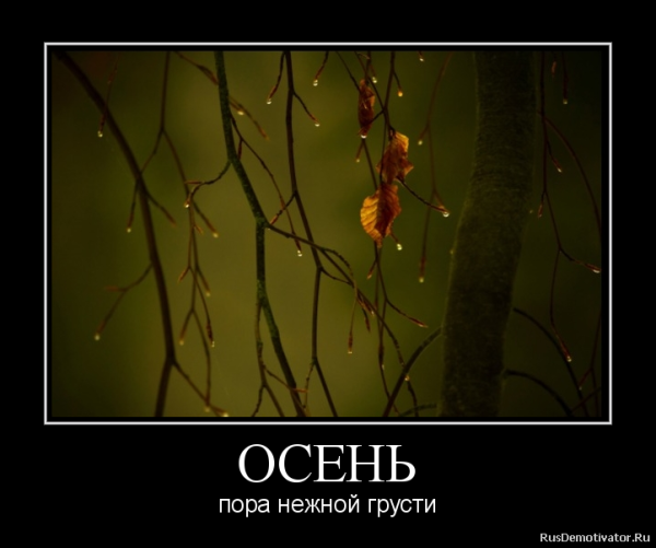 Осень пора грусти