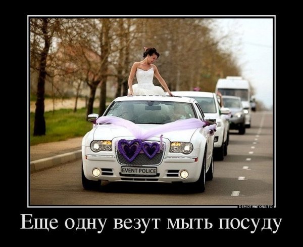 Прикольные демотиваторы