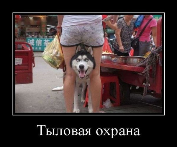 Демотиваторы приколы
