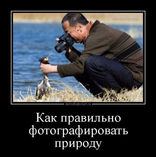 Прикольные демотиваторы