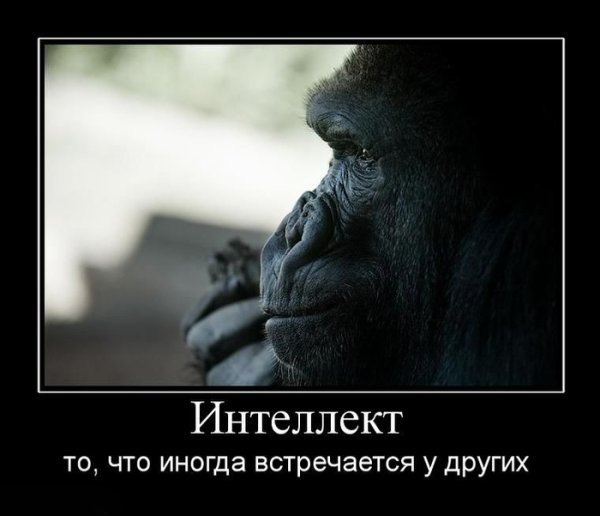 Интеллект демотиваторы