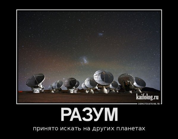 Интеллект демотиваторы