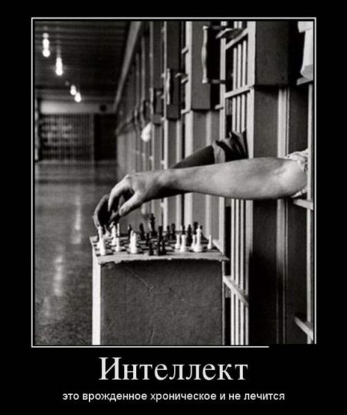 Интеллектуальные приколы