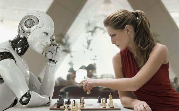 Бревно демотиватор