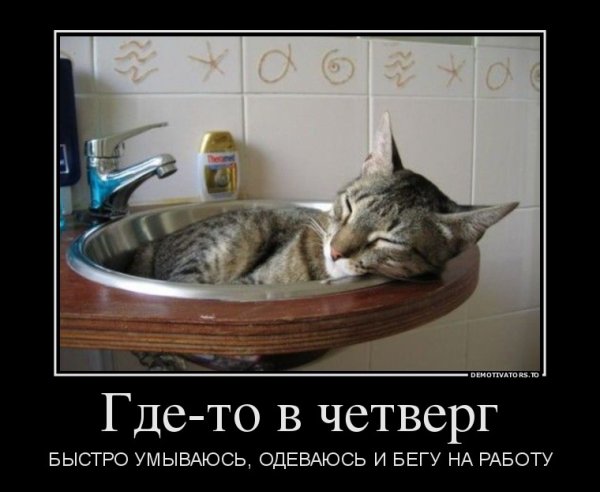 Демотиваторы утро четверг