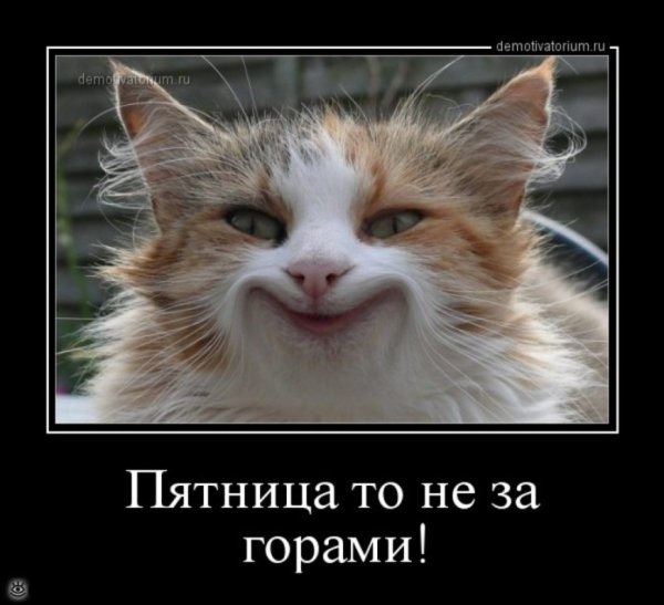 Четверг приколы