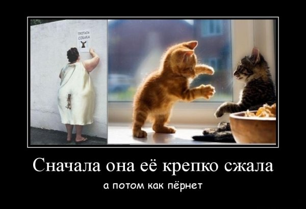 Демотиваторы про четверг смешные