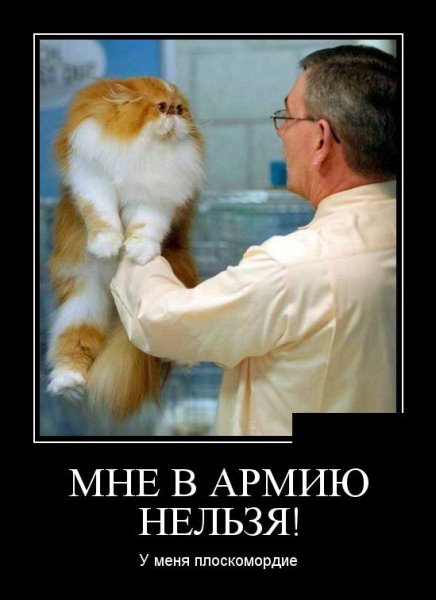 Четверг демотиватор