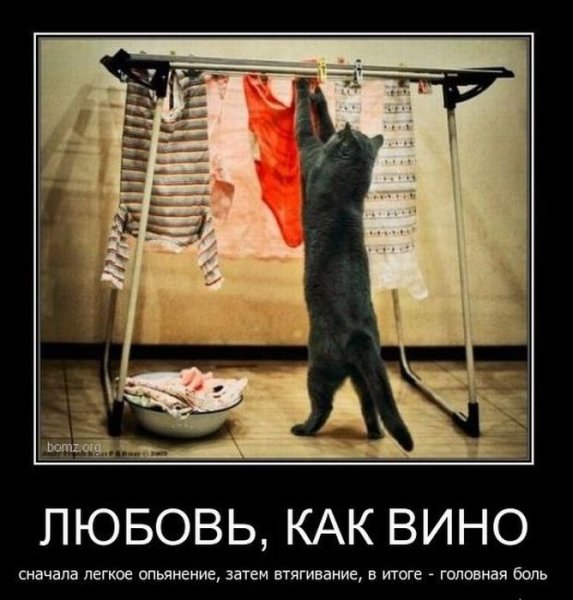 Четверг демотиватор