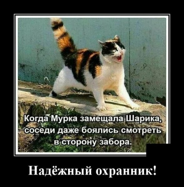 Четверг демотиватор